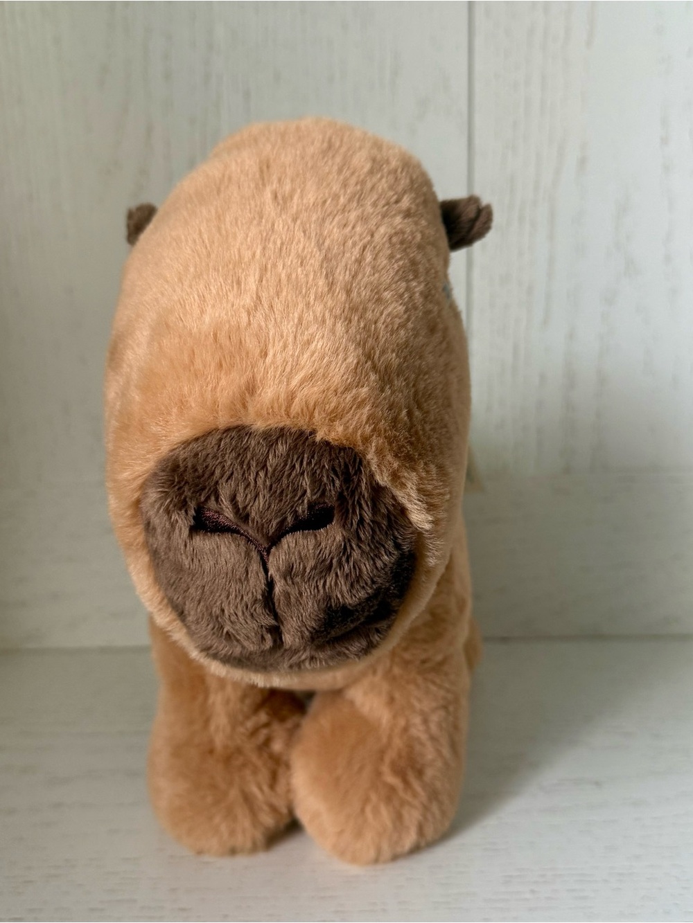 Build-A-Bear Soft Capybara 14” plush - Picture 2 of 7